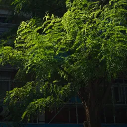 DSC01871