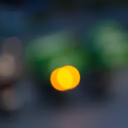 DSC01950