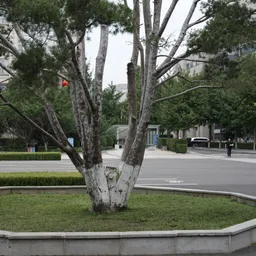 DSC02171