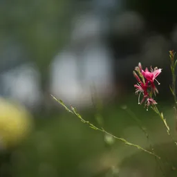 DSC02190