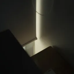 DSC02202