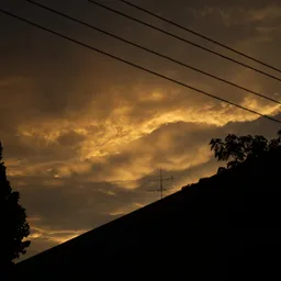 DSC02345