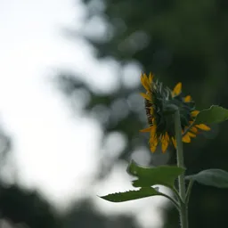 DSC02532