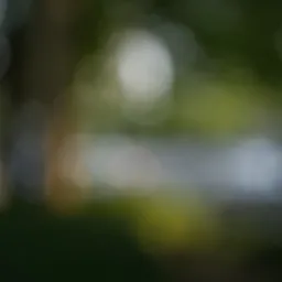 DSC02544