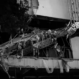 DSC02561 Bw