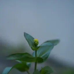 DSC02591