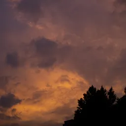 DSC02706
