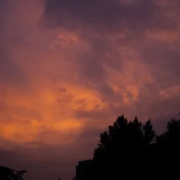 DSC02718