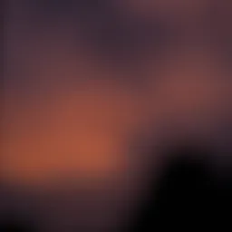 DSC02723