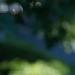 DSC02744
