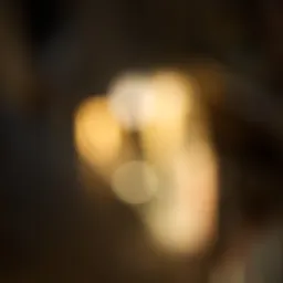 DSC02818