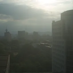 DSC02920