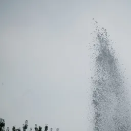 DSC03103