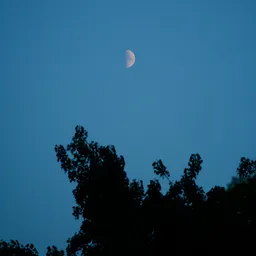 DSC03148