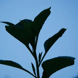 DSC03150