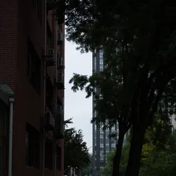 DSC03467