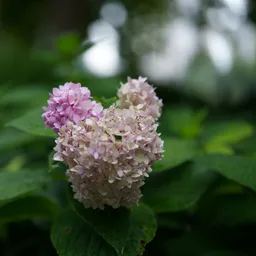 DSC03495