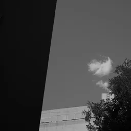DSC03768