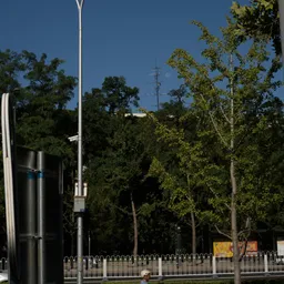 DSC03795