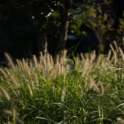 DSC03796