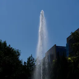 DSC03819