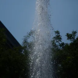 DSC03909