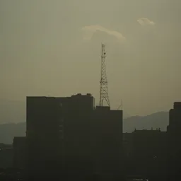 DSC03923