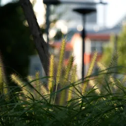 DSC03935