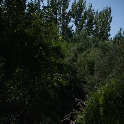 DSC03980