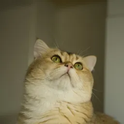 DSC04100