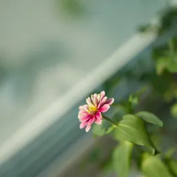 DSC04242