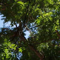 DSC04266