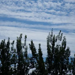 DSC04285