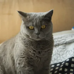 DSC04820